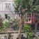 Ilham B. photo