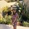 Arzu T. picture Arzu T. photo