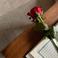 Rabia B. photo