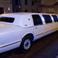 Just Limo photo