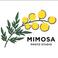 Mimosa Art House photo