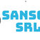 SANSONE SRLS photo