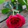 Askin Beauty photo