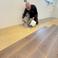 I professinisti del parquet picture I professinisti del parquet photo