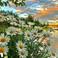 Rezzan A. picture Rezzan A. photo