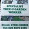 Specialist tree & garden worker photo