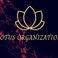 Lotus Organization photo