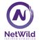 NetWild | Pubblicità e Servizi per le aziende photo