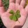 Tugba K. photo