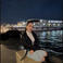 Derya S. picture Derya S. photo