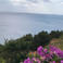 Meral Y. photo