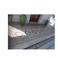 La nuova casa photo