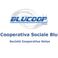 Coperativa sociale Blu, Blucoop photo