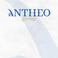 Antheo Group Srl photo