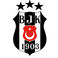 Beşiktaş Futbol Okulu photo