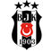 Beşiktaş Futbol Okulu photo