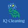 IQCleaning photo