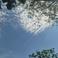 Pelin K. picture Pelin K. photo