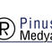 Pinus Medya photo