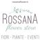 Rossana flower store photo