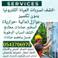 صيانه عامه picture صيانه عامه photo
