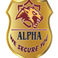 ALPHA SECURITY photo