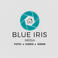 Blue Iris Media photo