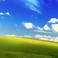 Vadim A. photo