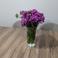 Hamide D. picture Hamide D. photo