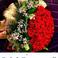 Serhat A. photo