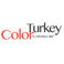 Color Turkey photo