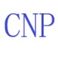 CNP GÜMRÜK MÜŞAVİRLİĞİ LTD.ŞTİ. photo