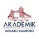 Akademik İnternational Dil Okulu Kocaeli Kampüsü photo