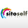 Sito Self Web Agency Realizzazione siti web photo