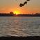 Merve S. picture Merve S. photo