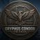 SC Gryphus Condor The Vision SRL photo