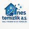 Nes T. A. photo