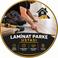 Laminat P. photo
