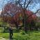 Neslihan A. picture Neslihan A. photo