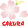 Sakura Perde Ve A. photo