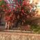 Yakup T. picture Yakup T. photo