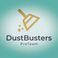 DustBusters ProTeam photo