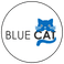 Blue Cat Medya photo