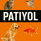 Patiyol P. photo