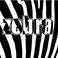 ZEBRA F. photo