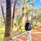 Ayoub D. photo