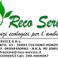 RECO SERVICE SRLS photo