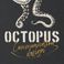 OCTOPUS | Communication Design photo