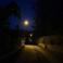 Selin S. photo