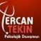 Ercan T. photo